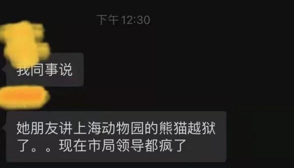 朋友圈疯传！上海动物园的熊猫“越狱”了？最新动向来了