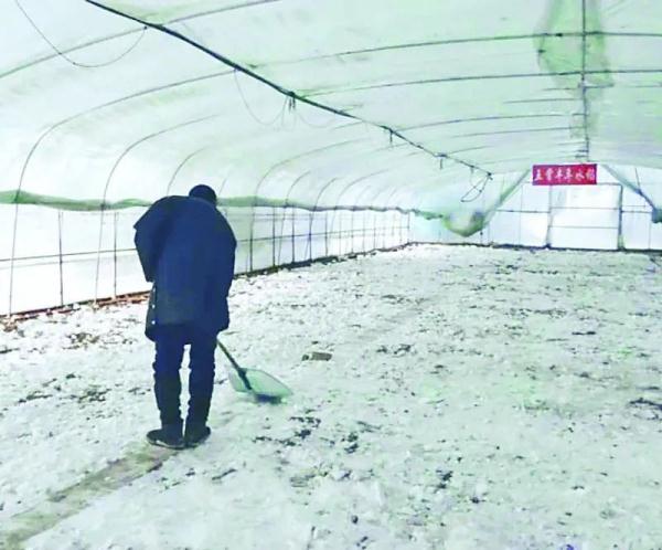 气象专家:春季终霜冻略早 适当早播抢抓积温 气象专家:春季终霜冻略早 适当早播抢抓积温