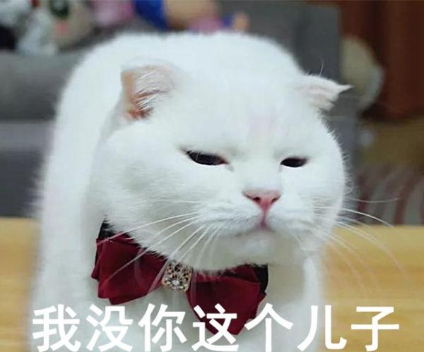 养儿防老？老太倾囊助儿买房，却被送至养老院，结果引起极度舒适...