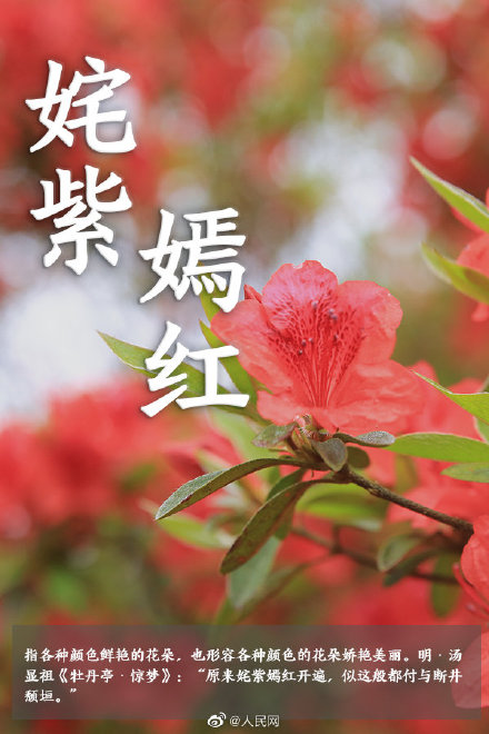 语文早读课！在成语中邂逅春日浪漫