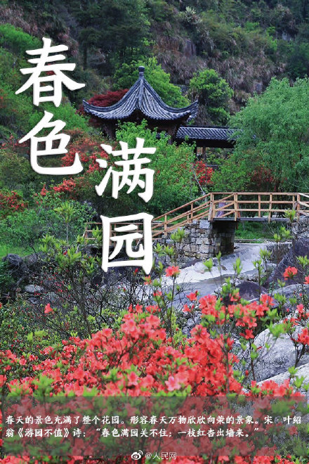 语文早读课！在成语中邂逅春日浪漫