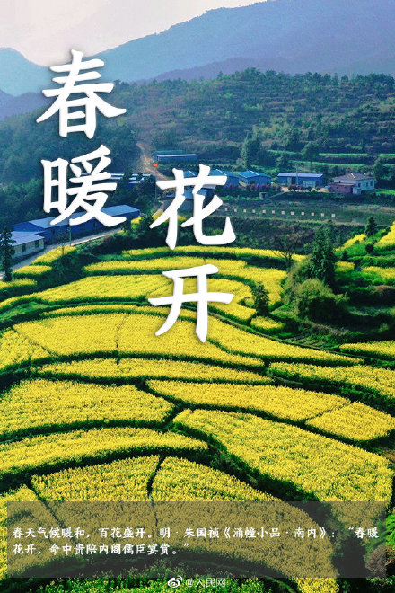 语文早读课！在成语中邂逅春日浪漫