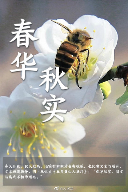 语文早读课！在成语中邂逅春日浪漫