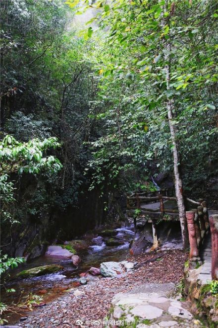 春天来了,跟我一起去亚木沟“撒野”! 春天来了,跟我一起去亚木沟“撒野”!