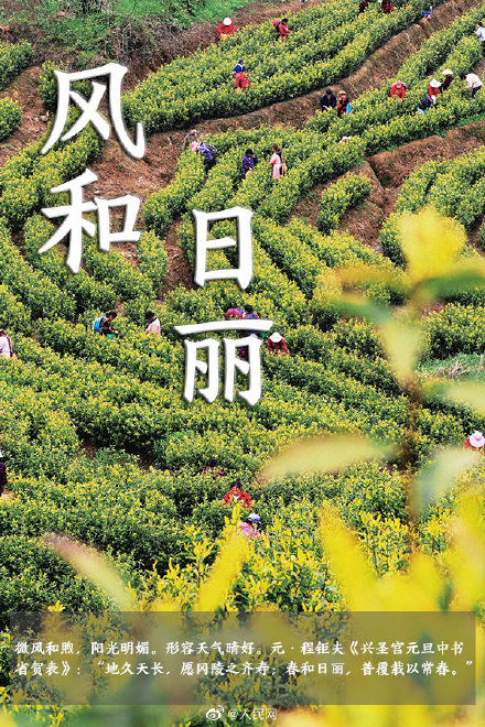 语文早读课！在成语中邂逅春日浪漫