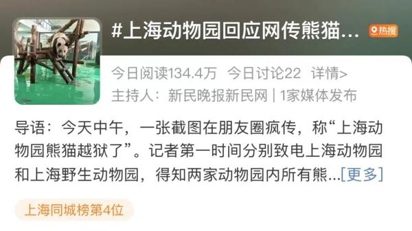 朋友圈疯传！上海动物园的熊猫“越狱”了？最新动向来了