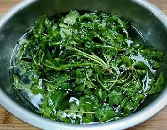 惊蛰将至，这5道汤多给家人喝，去春燥养脾胃，顺应时节营养足！