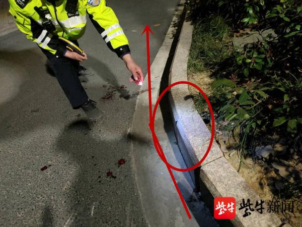 后悔迟啦！骑电动车男子未佩戴头盔，撞上路牙摔倒脑部受伤严重