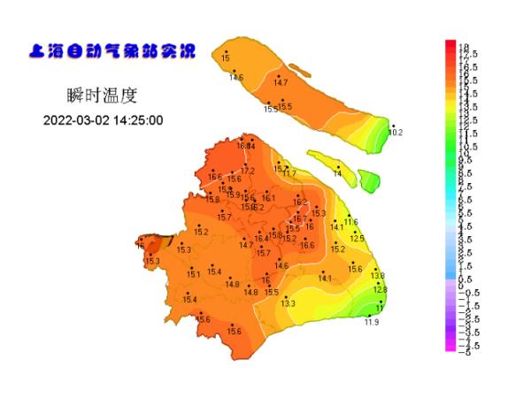 官宣：上海已入春