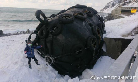 日本海岸现两个巨大黑块:长6米重5吨 布满"章鱼吸盘" 日本海岸现两个巨大黑块:长6米重5吨 布满"章鱼吸盘"