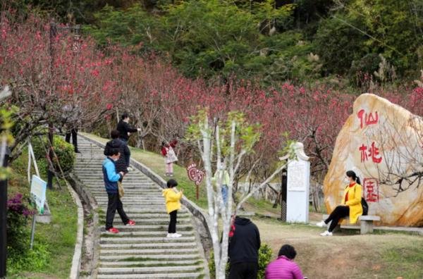 美美美！3月广州花海太惊艳！最新赏花攻略快收藏