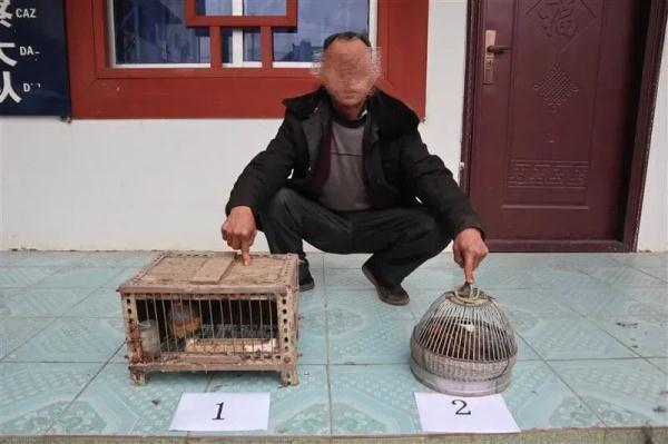 南宁上林两男子到山里抓了几只“鸡”，不料民警找上门