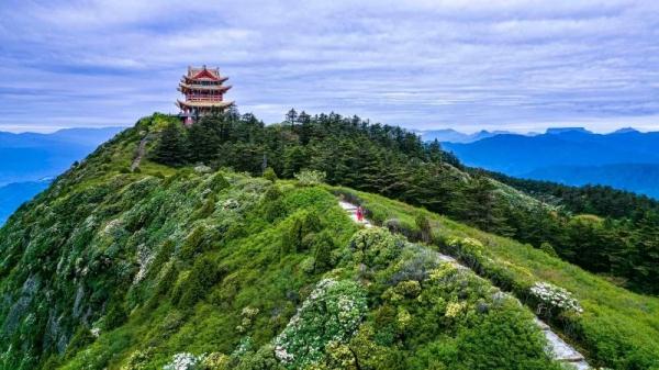 峨眉山免门票了！对这些区域这些人……