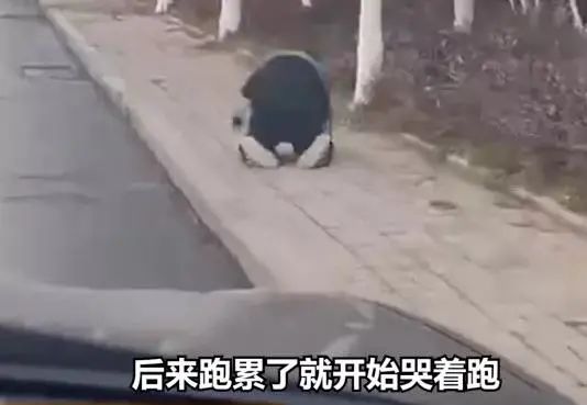 7岁男孩闹脾气,被亲妈罚跑4公里!火爆网络的“后果教育”是否真的可行? 7岁男孩闹脾气,被亲妈罚跑4公里!火爆网络的“后果教育”是否真的可行?