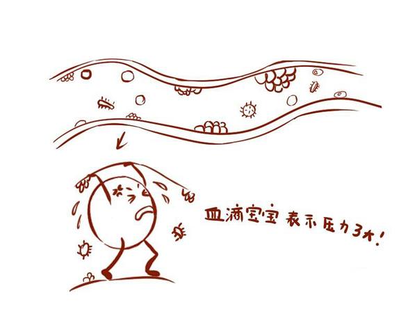 五种“延寿”食物，若你平时总吃，偷着乐吧，血管会越来越干净