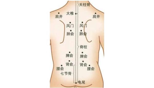 春捂秋冻,不生杂病! 春捂秋冻,不生杂病!