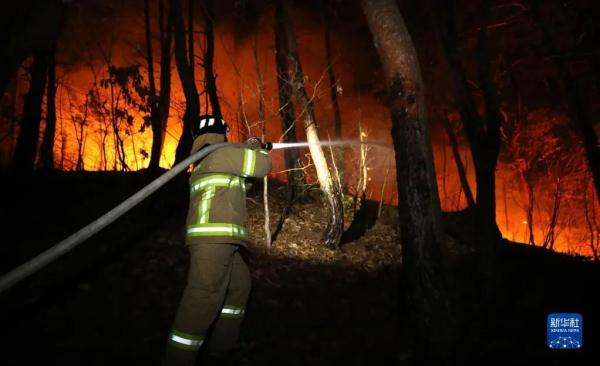 韩国爆发严重山火，一度烧到核电站附近！地球正在燃烧…
