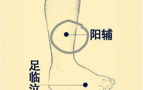春捂秋冻,不生杂病! 春捂秋冻,不生杂病!