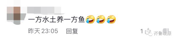 景区的鱼“猪里猪气”火了