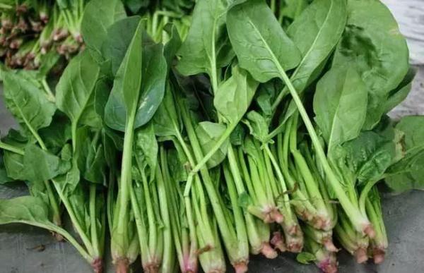 6种食物堪称”补脑王“，营养大脑，增强记忆力，好吃还不贵
