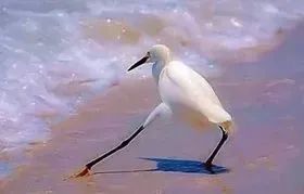 后备箱里放“氧气罐”,涉嫌醉驾还无证…… 后备箱里放“氧气罐”,涉嫌醉驾还无证……