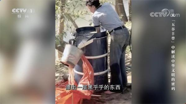 日常吃的五谷藏着多少秘密？一起探索它们的前世今生→