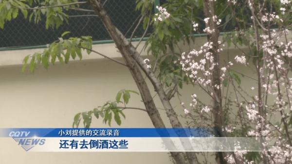 热搜第一！女子拒绝下班后应酬被辞退，公司：行政工作就要搞好接待！