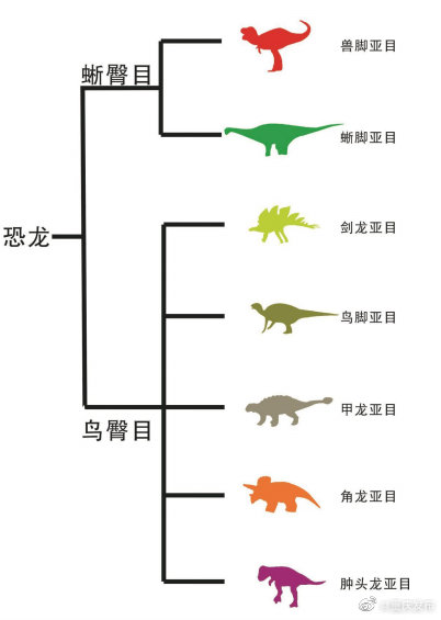 重庆发现亚洲最古老剑龙化石