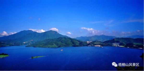 能去梧桐山登山吗？官方：正常开放！暂时闭园的是梧桐山森林公园