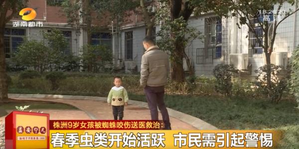 千万小心!持续升温,它们开始活跃!湖南女孩因此全身红疹肿胀…… 千万小心!持续升温,它们开始活跃!湖南女孩因此全身红疹肿胀……