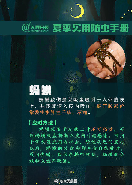 转发提醒！虫虫落身上不要随意拍打