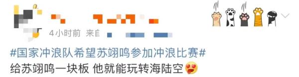 苏翊鸣： “冬夏两用”运动员？！