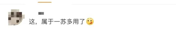 苏翊鸣： “冬夏两用”运动员？！