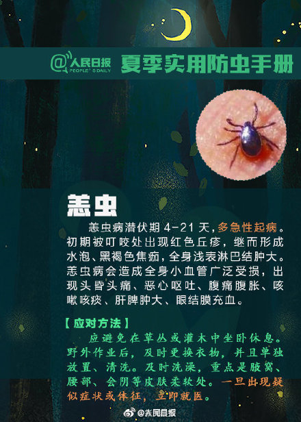 转发提醒！虫虫落身上不要随意拍打