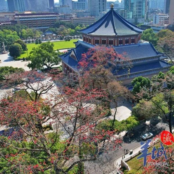 “木棉花开，冬不再来”
