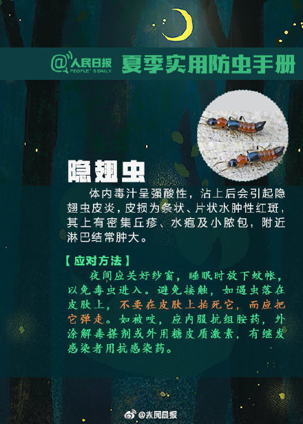 转发提醒！虫虫落身上不要随意拍打