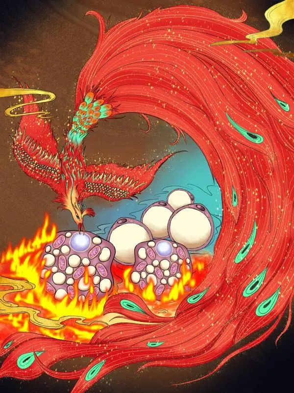 不节食不运动也能减肥?中国科学家研究出了新招 不节食不运动也能减肥?中国科学家研究出了新招