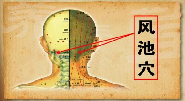 春困可能是吃错了!三个妙招,帮你赶走春困 春困可能是吃错了!三个妙招,帮你赶走春困
