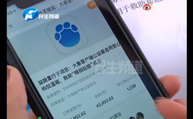 报喜！出生时790g的拇指姑娘，现在“变身”了...