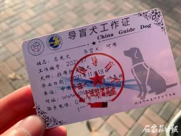 “滴!滴!”石家庄95路的车长们,有个特殊约定…… “滴!滴!”石家庄95路的车长们,有个特殊约定……