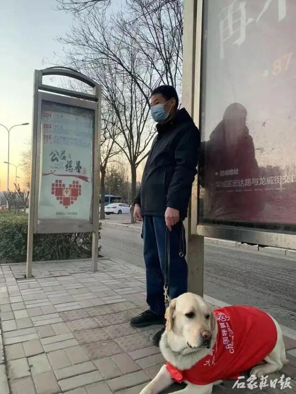 “滴!滴!”石家庄95路的车长们,有个特殊约定…… “滴!滴!”石家庄95路的车长们,有个特殊约定……