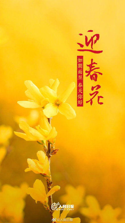 收好這份春花壁紙,願你一路生花