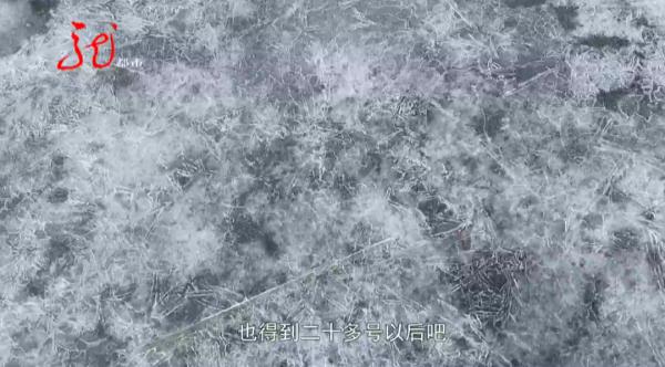 气温零上10℃！松花江上，竟然还有20多人聚堆儿垂钓……哈尔滨市公安局发布通告！