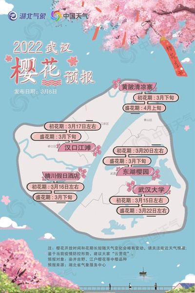 2022武汉樱花3月中旬迎初花期 花期约17天 2022武汉樱花3月中旬迎初花期 花期约17天