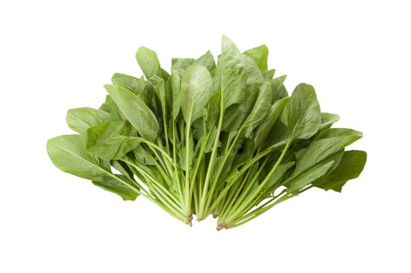 “春困”缠身,一整天都无精打采?做好这4点,帮你找回精气神 “春困”缠身,一整天都无精打采?做好这4点,帮你找回精气神