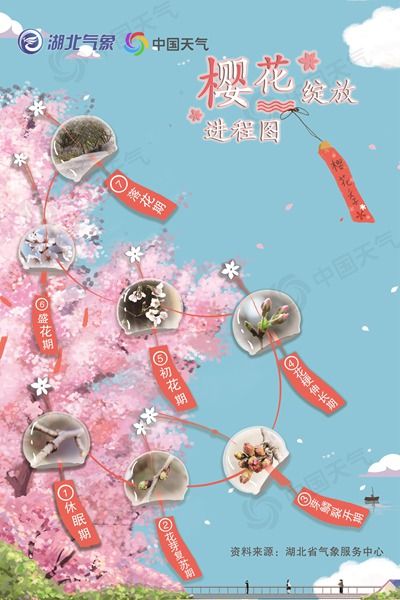2022武汉樱花3月中旬迎初花期 花期约17天 2022武汉樱花3月中旬迎初花期 花期约17天