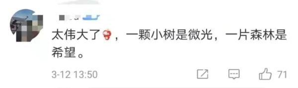 20年种树1000万棵，上海失独妈妈把思念都种进了沙漠