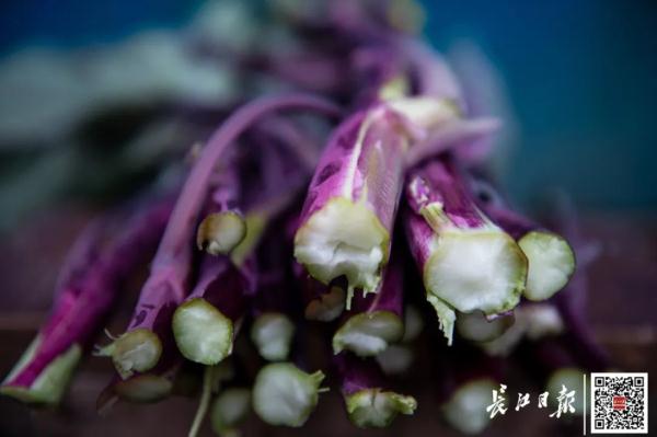 听说菜薹是湖北特产，网友吵翻！