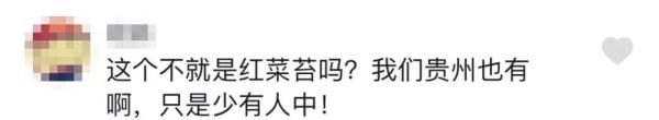听说菜薹是湖北特产，网友吵翻！
