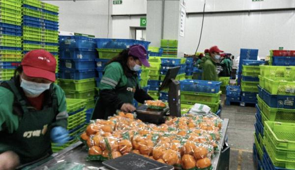 防疫当前，市民买菜、外卖还方便吗？上海电商平台、超市回应